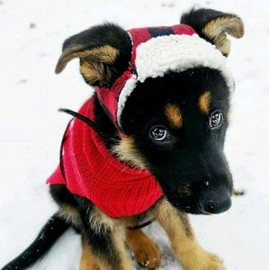 Meet your Posher, Daniela